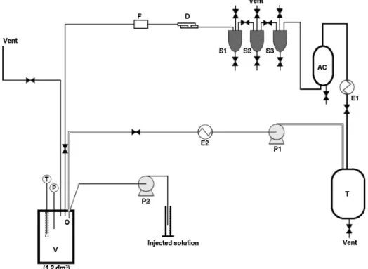 Fig. 1. Schematic representation of the SAS apparatus.