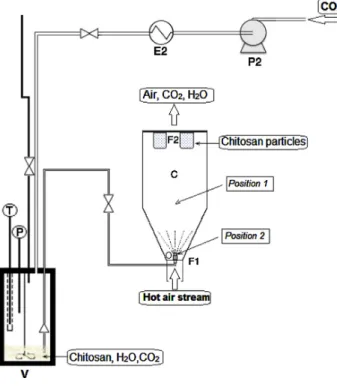 Fig. 2. Schematic representation of the SCASA apparatus.