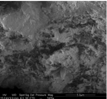 Fig. 3. ESEM observation of freeze-dried particles obtained from the M2 test.