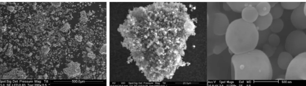 Fig. 7. Different scales of structures of chitosan generated particles by SCASA process.