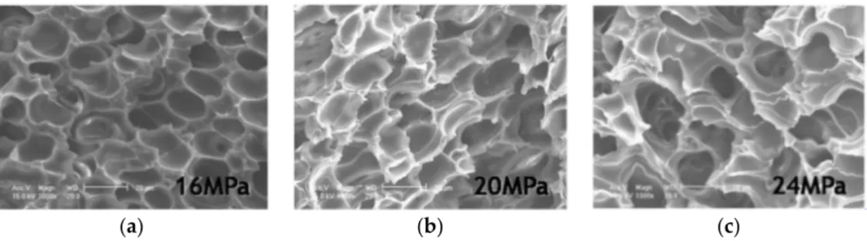 Figure 10. Effect of pressure on cell morphology of PLA/silk foams (7 wt%, 155 °C) at (a) 16 MPa, (b)  20 MPa, and (c) 24 MPa