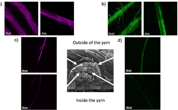 Fig. 4. SEM images of elementary ﬂ ax ﬁ bres surface extracted from (a) raw ﬂ ax woven fabrics; (b) CNC treated ﬂ ax woven fabrics