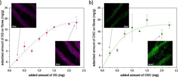 Fig. 5b represents the adsorption isotherm of CNC on ﬂ ax woven fabrics. As for XG adsorption, the di ﬀ erence in intensity of CNC-FITC on confocal images is well correlated with the increase amount of adsorbed CNC on ﬂax ﬁbres depending on initial concent
