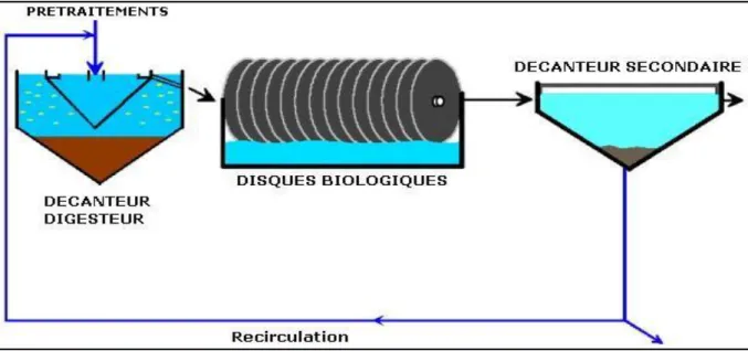Figure II.3: Schéma du traitement biologique par disque biologique. 