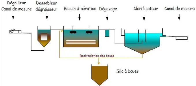 Figure II.4: Schéma du traitement biologique par boue activée. 