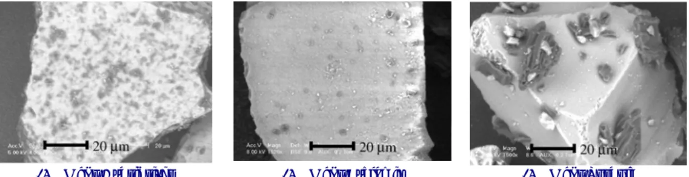 Fig. 10 shows the variation of the density measured for the silica coated with 5% and 15% of  MgSt in both the Hybridizer and the Cyclomix