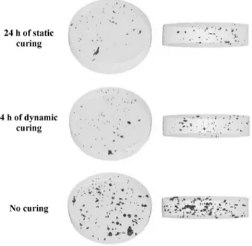 Fig. 4. 3D reconstructed X-ray micro-computed tomographic images of film-coating structures from tablet cured in static conditions for 24 h and from 4 h dynamically cured tablet