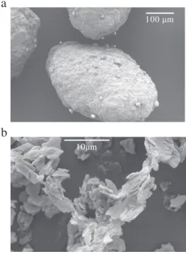 Fig. 1. SEM images of sugar particles (Suglets) and magnesium stearate (MgSt).