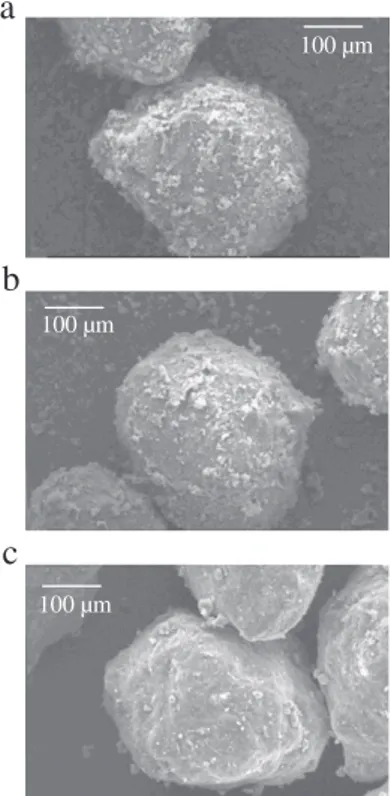Fig. 4. SEM images of the coated particles at 500 rpm, ﬁ lling ratio J=60% and at oper- oper-ating time t (a) 1 min, (b) 3 min, (c) 10 min.