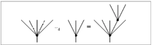 Figure 1. Grafting with the leaves numbered from left to right. 