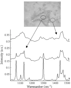 Fig. 9 illustrates representative diffraction patterns obtained from uncured tablets. The series of patterns collected during a scan perpendicular to the coating clearly showed a progressive change of scattering features from the coating surface up to the 