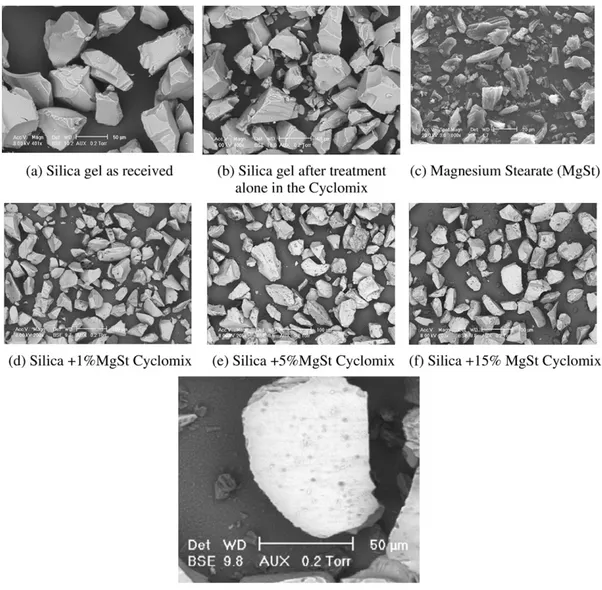 Fig. 3. ESEM photos of the silica gel magnesium stearate system.