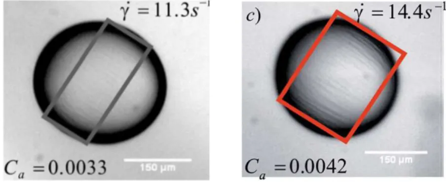 FIG. 11. Polysiloxane capsule subjected to a simple shear flow. Wrinkles (inside the rectangle) appear in the central region due to compressive tensions