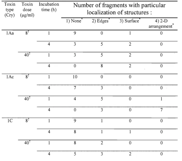 Table 2.  Toxin structures interacting with membrane fragments.  Each experiment was conducted  on the same membrane fragment after one and four ho urs of incubation with the toxin