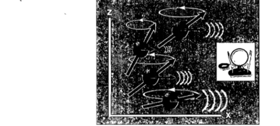 Figure  4.  Phase  de  relaxation  des  protons.  Les  protons  relâchent  l'énergie  excessive  et  retrouvent  leur  état  d'équilibre,  alors  que  chacun  suit  une  précession  autour  de  son  axe  (flèche circulaire)