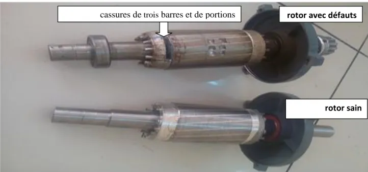 Figure I.5: Cassures de barres et de portions d'anneaux  (laboratoire de la faculté de technologie- université d' El Oued)