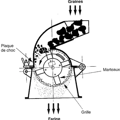 Figure 9. Schéma d'un broyeur à marteaux 
