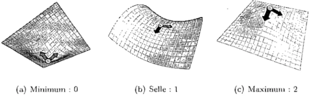 FIGURE  2.7  Les  trois  types de  points critiques sont identifiés  par le  nombre  de  direc- direc-tion::;  négative::;  (en  bleu)  dan::;  l'hel:!::;ien