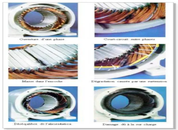 Fig .I.8: Différents défauts au niveau de stator de la machine asynchrone[2]. 