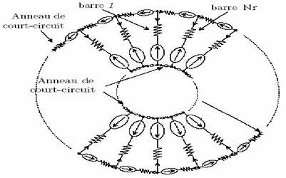 Fig. II.2: Schéma électrique équivalent d'une maille rotorique [15]