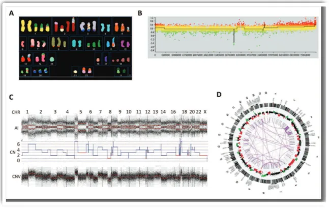 Figure 2: Measuring alterations in a cancer genome. A. Whole genome karyotyping image (SKY) of breast cancer cell line MDA-MB-468 (http://www.path.cam.ac.uk/pawefish/);