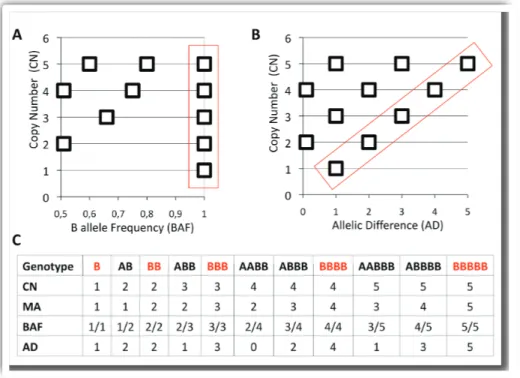 Figure 4: All possible allelic contents for DNA copy number from 1 copy to 5 copies. A