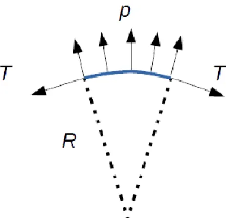 Figure 5: Law of Laplace 