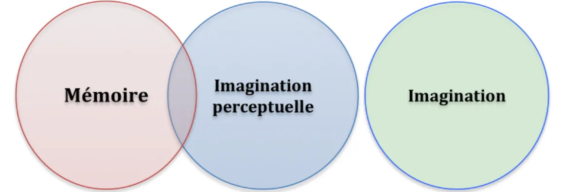 Figure 1.5 : L’imagination sans imagerie selon Alan White (1990) 