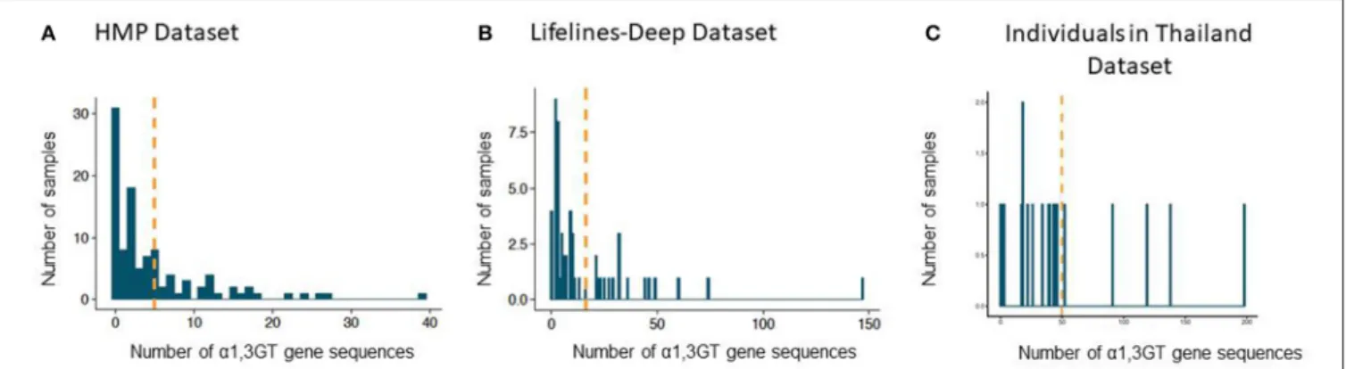 FIGURE 2 | Presence of sequences with α1,3GT sequence homology in the gut microbiome of adult individuals from two cohorts