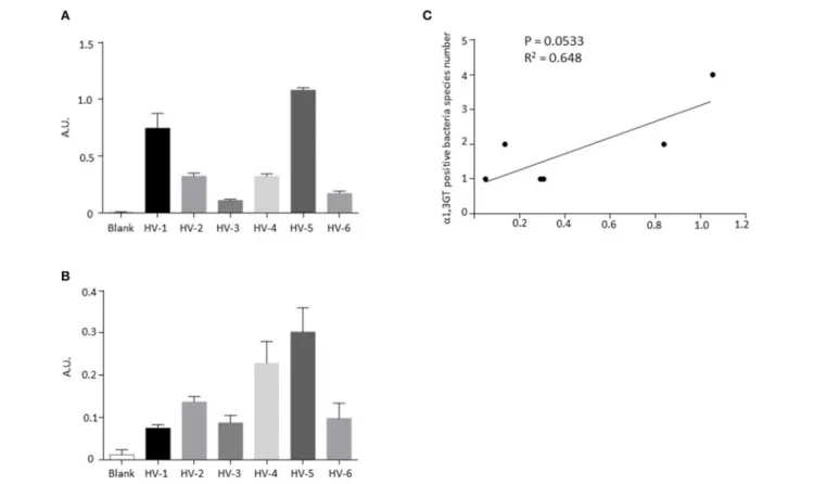 FIGURE 3 | Detection of α1,3-Gal antigen and α1,3GT activity in stools from healthy donors exhibiting bacterial α1,3GT gene sequences in their shotgun analysis.