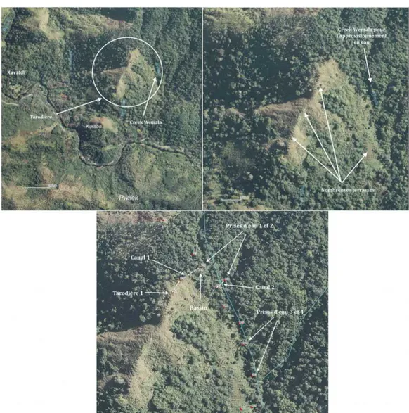 Figure 5 : Photos satellites des tarodières de Wemala, Kaavac, Hienghène (Source : Géorep, 2016) 23