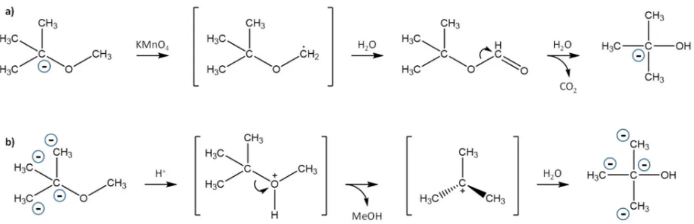 Figure  2:  Proposed  reaction  mechanisms  of  MTBE  degradation  during  (a)  potassium  560 