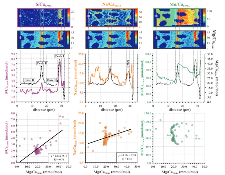 FIGURE 3 | Example of transect analysis for S/Ca EPMA (left panels; purple), Na/Ca EPMA (center panels; orange), and Mn/Ca EPMA (right panels; green)