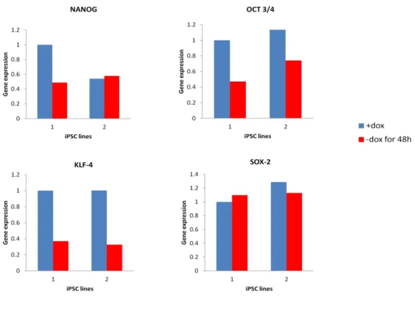 Fig. A4: Reduction in pluripotency genes in the absence of inhibitors: Expression of  pluripotency genes of eiPSC cultured in complete doxycycline medium (blue bars) and  gene expression after doxycycline withdrawal for 48h (red bars) shows reduction in le