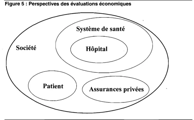 Figure 5 : Perspectives des évaluations économiques 