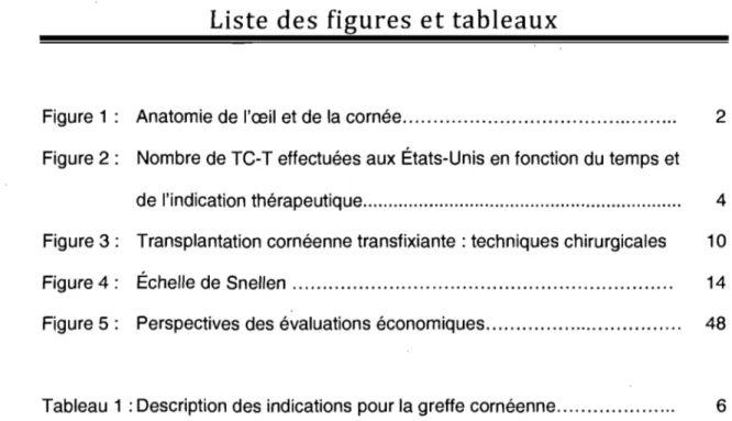 Figure  1:  Anatomie de  l'œil et de la cornée..... ........................................