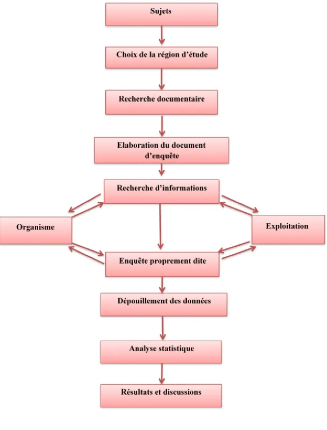 Figure 04 : Schéma méthodologique de l’étude. 