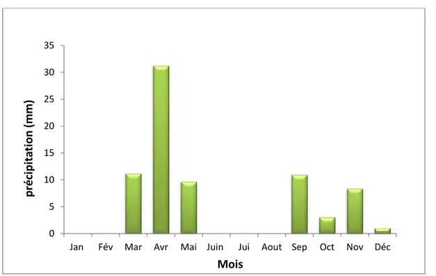 Figure 07 : Moyennes mensuelles des précipitations en (mm) durant l’année 2019. 