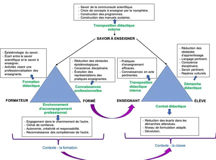 Figure 7 : Le modèle de la formation adoptée au cours du cycle DBR 