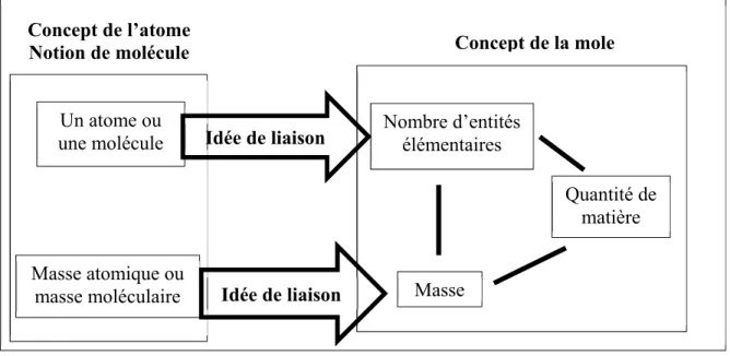 Figure 5 : La carte conceptuelle de la mole (Fang, Hart et Clarke, 2014, p. 354 / 2016, p