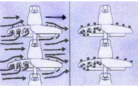 Figure I.12 : dépôt et évolution de l‟agent polluant 