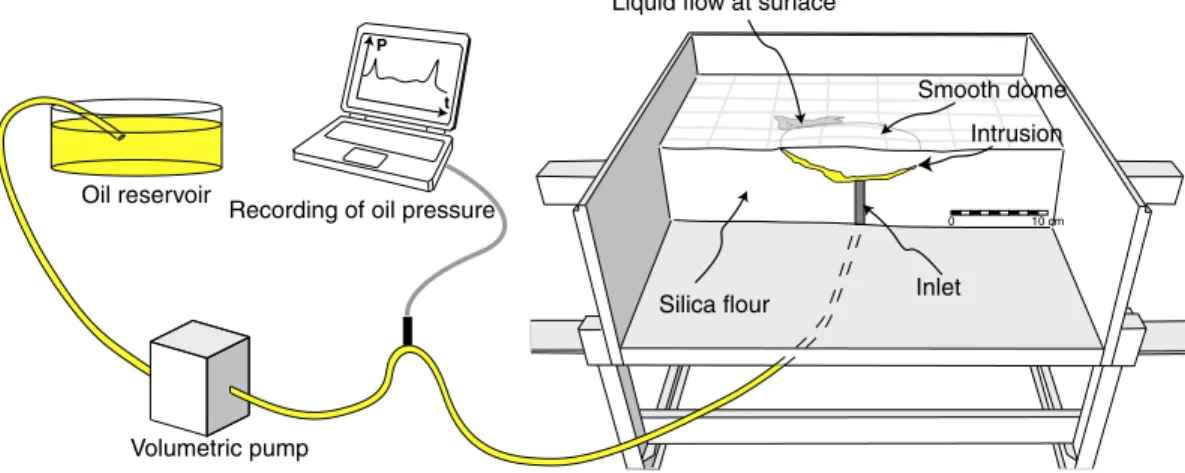 Figure 2. Drawing of the experimental apparatus used in this study.
