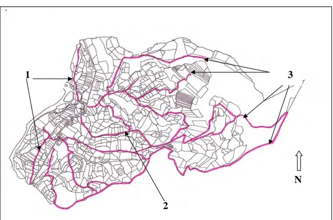 Figure 7. Les voies et chemins à Trois-Villes au XIX ème  s. 