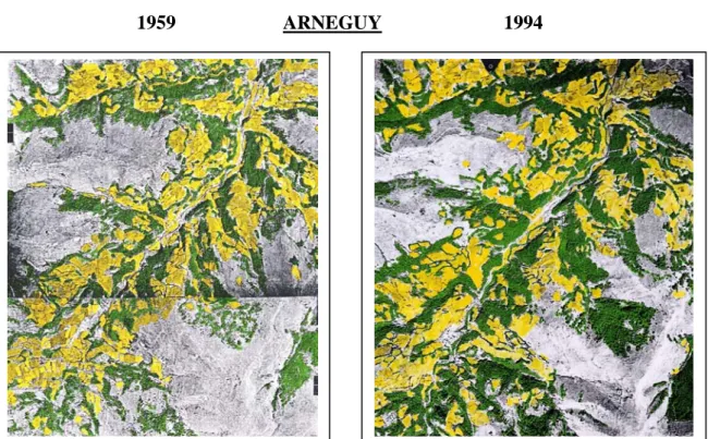 Figure 12 : évolution de couverture végétale des vallées d’Arnéguy et des Aldudes  