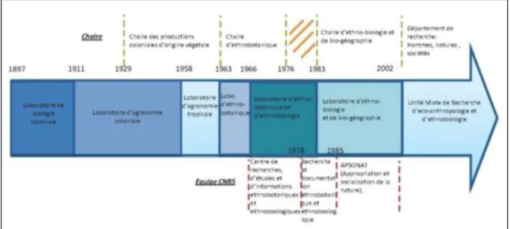 Figure 20 : Évolution du laboratoire d’ethnobotanique (1897-2014) 