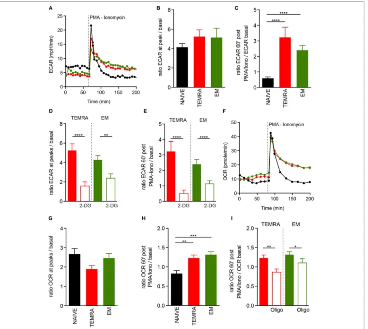 FigUre 5 | Fitness of metabolic adaptation of TEMRA CD8 T cells upon activation. (a–c) Extracellular acidification rate (ECAR) profile of one out of 14 healthy  volunteer (HV) is shown [(a) NAIVE, black; TEMRA, green; effector memory (EM), red]