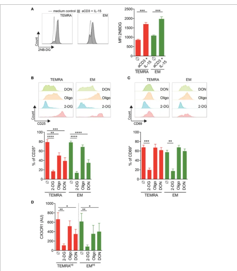 FigUre 7 | Inhibition of IL-15 induced activation of TEMRA CD8 T cells from kidney-transplant (KT) recipients by interferences with glycolysis or glutaminolysis