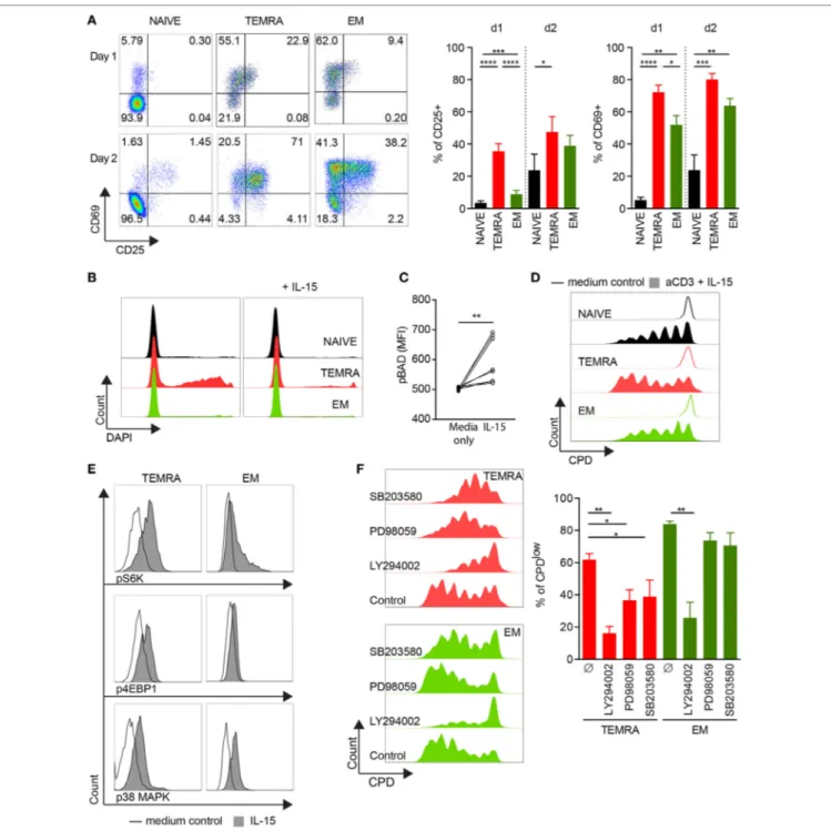 FigUre 2 | IL-15 delivers pro-survival and proliferating signals to TEMRA CD8 dependent of PI3K/Akt, p38 MAPK, and pERK1/2 pathways