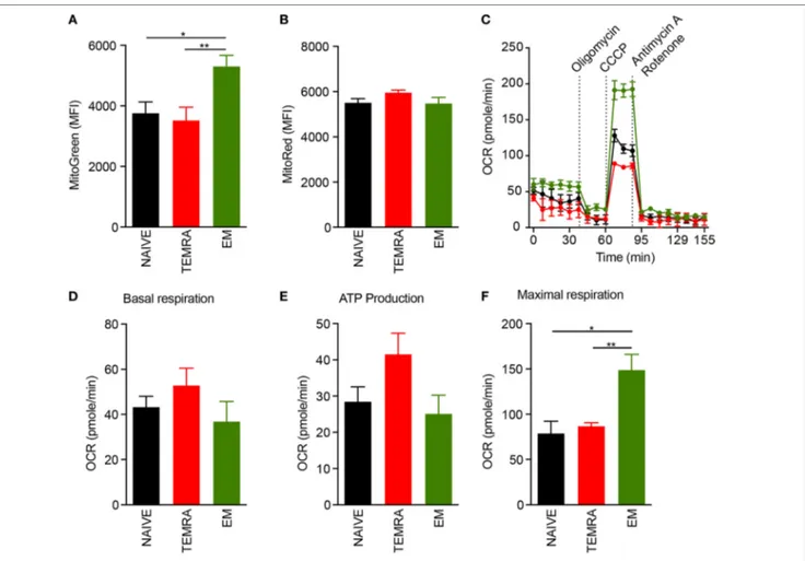 FigUre 3 | TEMRA CD8 T cells exhibit polarized and functional mitochondria. (a,b) Mitochondrial load (a) and mitochondrial membrane potential (b) of each CD8  T cell subsets were assessed according to mean fluorescence intensity of Mitotracker Green and Re