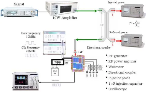 Fig. 1. DPI injection system